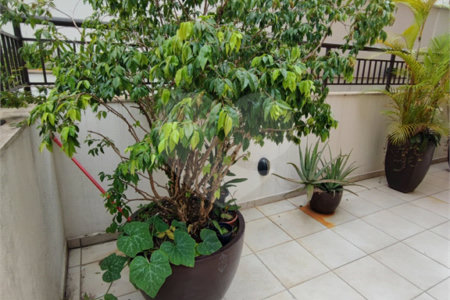 Apartamento Garden na Mooca com 322m² com 4 dormitórios 5 vagas Estuda Permuta