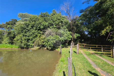 Sitio Granjeiro região de Água Vermelha 6,5 Alqueires (16,5 Hectares)