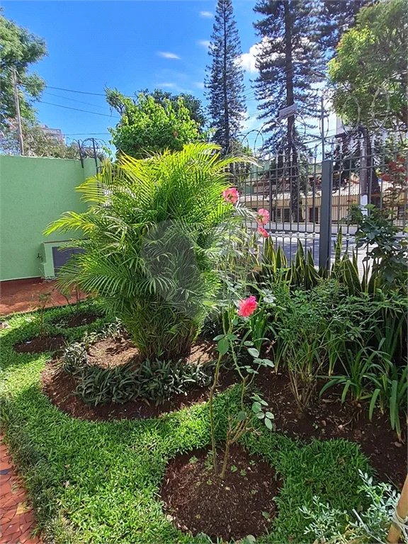 Casa com 3 Dormitórios no Campo Belo