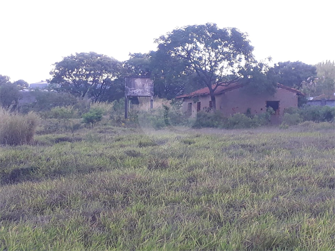 Fazenda com pasto a venda em Morungaba