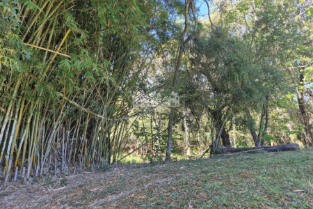 Sítio à venda com 7 alqueires, em Serra do Capetinga, Itapeva - MG
