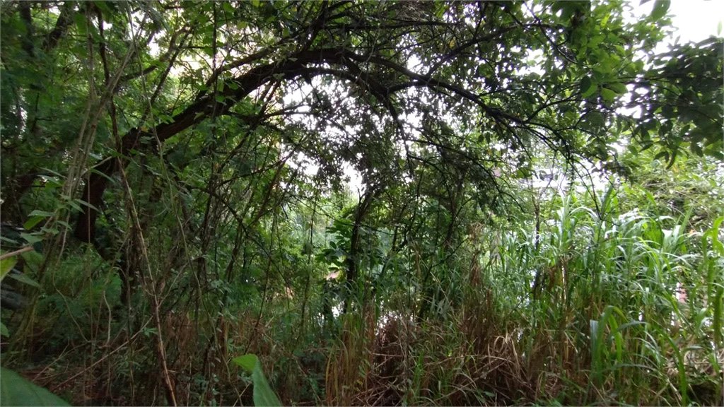 Terreno à venda em Vila Suzana, São Paulo, SP