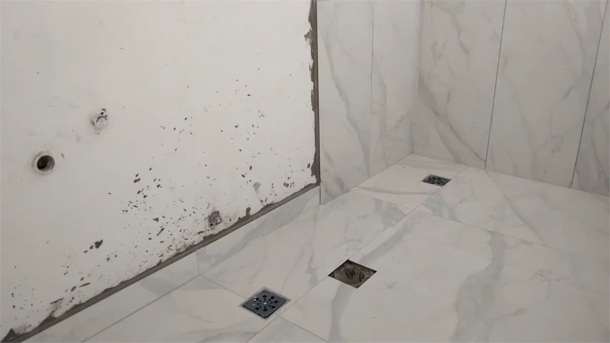 Sobrado à venda com 3 suítes em Jardim Bonfiglioli, São Paulo, SP