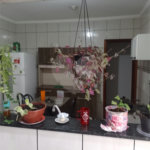 Casa térrea para venda, com 3 dormitórios, sendo 1 suíte.