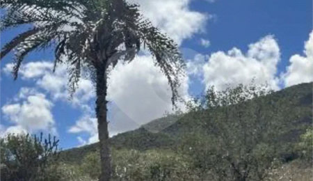 Fazenda à venda no Centro, Santa Teresinha, BA