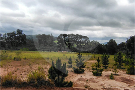 Terreno industrial à venda em Bom Jesus dos Perdões – 20.000m² na Rodovia Dom Pedro I
