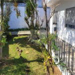 Casa de Alto Padrão à Venda – Campo Belo | São Paulo/SP