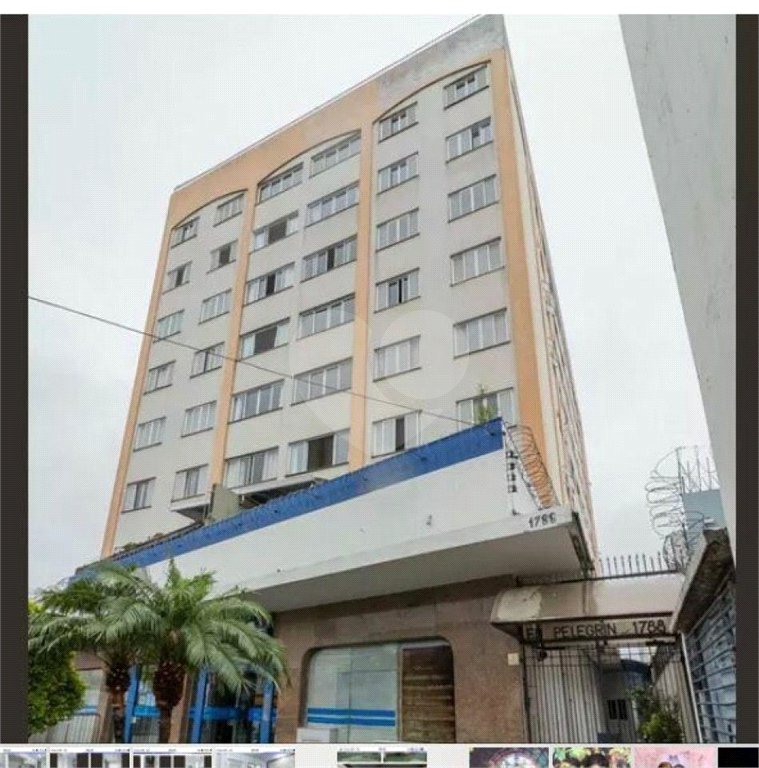 Apartamento à venda com 4 quartos, sendo 2 suítes, em Vila Mascote, São Paulo, SP