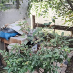 Casa Assobradada à Venda com 2 quartos em Jardim Celeste, São Paulo - SP