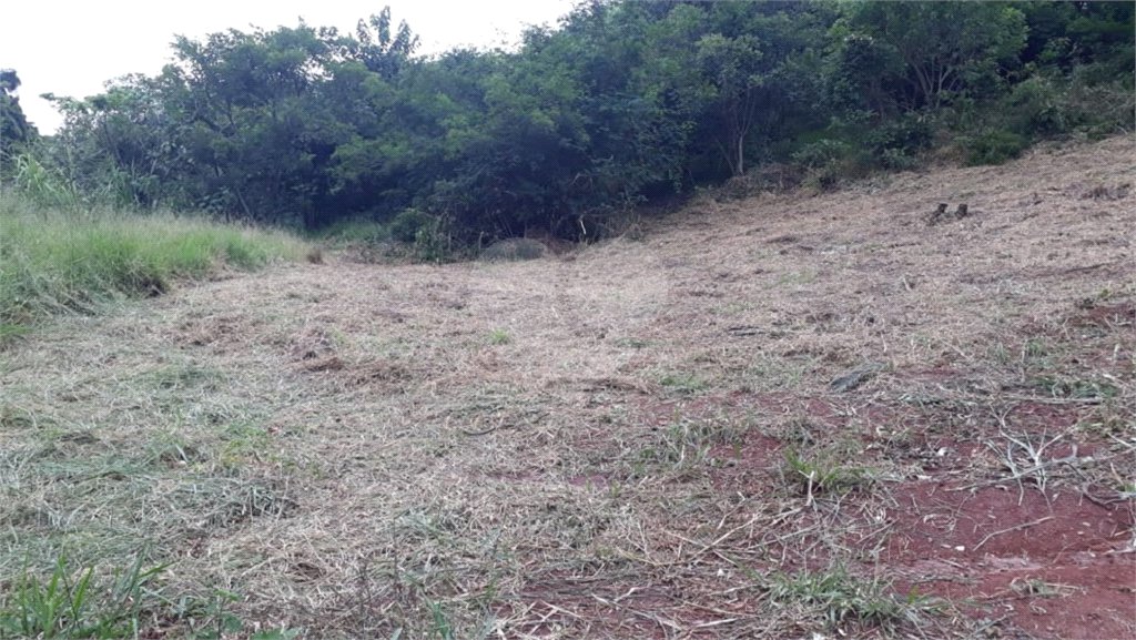 Terreno com 453,50 m² de área total.