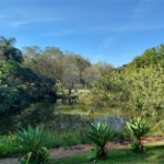 Casa para Locação no Condomínio Vista Alegre Café em Vinhedo/SP