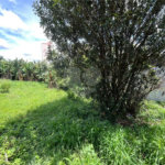 Terreno com vocação variada na Vila Monteiro em Piracicaba
