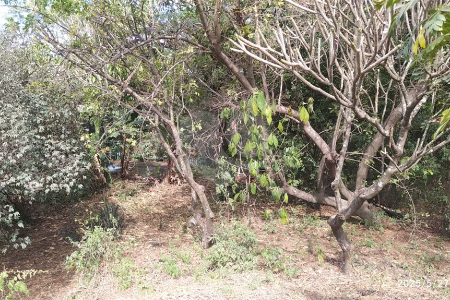 Chácara à venda em Tanquinho - Piracicaba/SP.