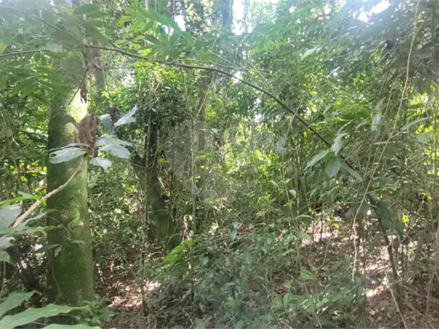 Terreno à venda em Mantiqueira, Mairiporã, SP