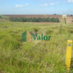 Sitio Rural São Carlos