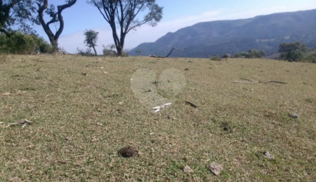 Terreno à venda em Aldeia da Serra, Santana de Parnaíba, SP