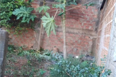 Casa Térrea com 3 dormitórios, sendo 1 suíte.