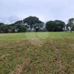 Loteamento Residencial no Condomínio Vila Pinhal do Broa