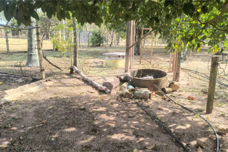 Chácara dos Sonhos à Venda – São Carlos/SP – Recreio Campestre