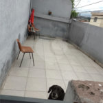 Imóvel com 2 casas em Pirituba