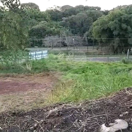 Terreno com 453,50 m² de área total.