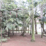 Casa à venda com 4 quartos, sendo 2 suítes,  no condomínio Chácara Flora, São Paulo - SP