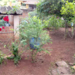 Terreno com 586,00 m² de área total na Vila Costa do Sol.