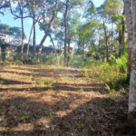 Terreno de 2000m² à Venda no Jardim Estância Brasil