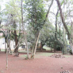 Casa à venda com 4 quartos, sendo 2 suítes,  no condomínio Chácara Flora, São Paulo - SP