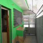 Exuberante no Horto Florestal