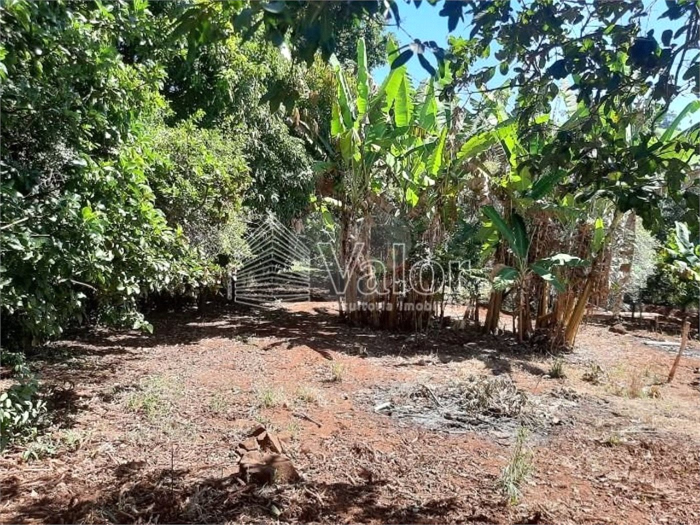 Sitio São João - Km 258