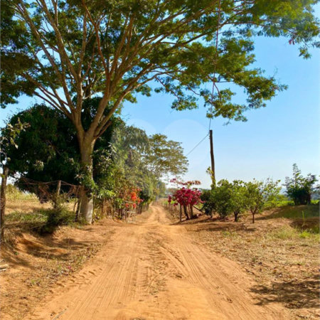 Sítio na cidade de Taiuva-SP.