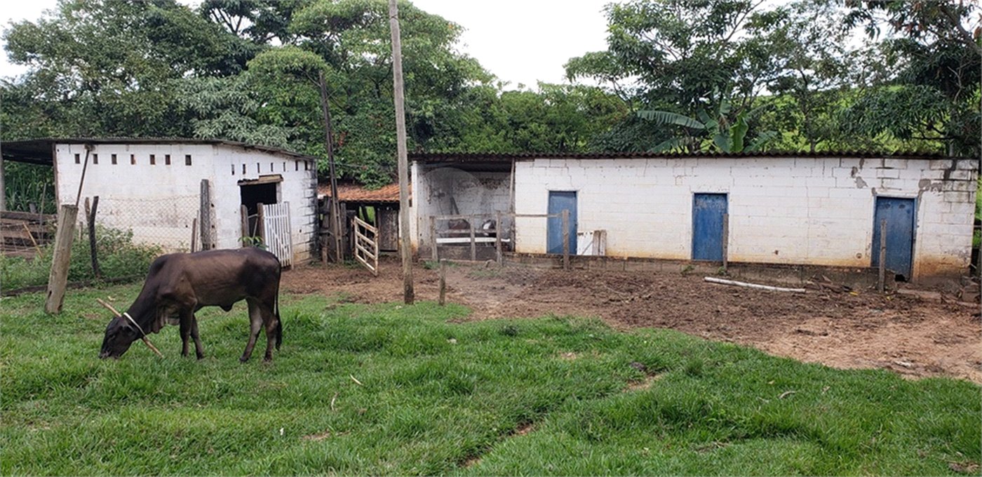 Sitio para venda.