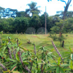 Terreno em Água Vermelha