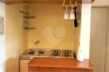 APARTAMENTO MOBILIADO, 1 DORMITORIO, FACIL fACESSO, 1 VAGA, LOCALIZAÇÃO EM MOEMA ÍNDIOS!!