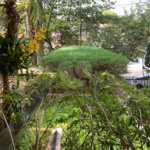 4 dormitórios, sendo 2 suítes na melhor localização de Moema