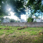 Chácara à venda com 3 quartos, sendo 1 suíte, em Bosque, Vinhedo, SP