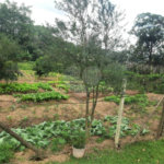 Excelente imóvel rural na cidade de Piedade/SP