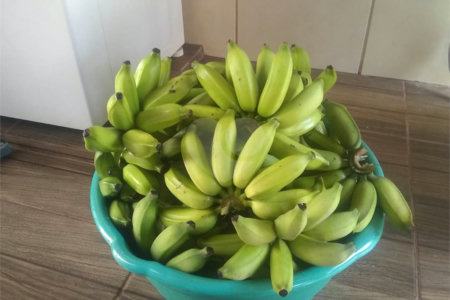 Chácara em Araraquara/SP.