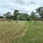 Loteamento Residencial no Condomínio Vila Pinhal do Broa