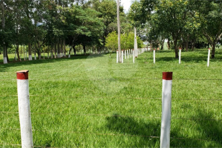 Sitio para venda.
