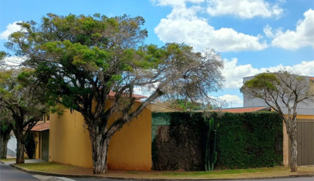 Sobrado à venda com 3 quartos, sendo 1 suíte,  em Parque Santa Marta, São Carlos, SP