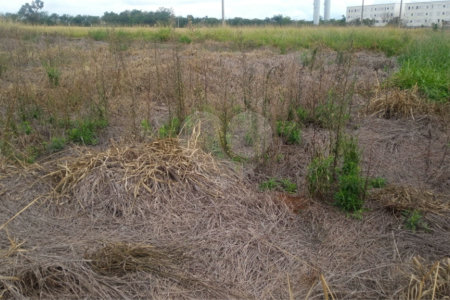 Lote no Jardim do Bosque, aceita financiamento ou aquisição de terreno e construção