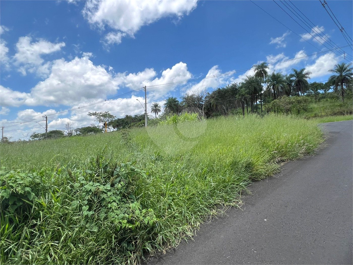 Terreno à Venda - Descalvado/SP
