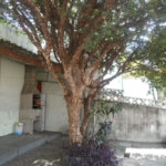 Casa Térrea à venda com 3 quartos em Jardim São Paulo(zona Norte), São Paulo, SP