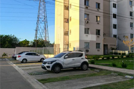 APE NOVINHO EM CACHAMORRA