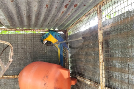 Sitio para venda.
