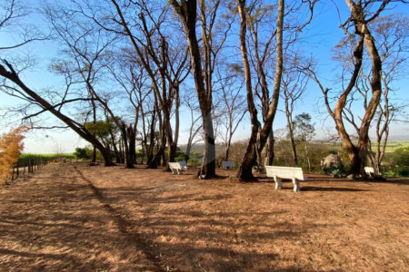 Sítio na cidade de Taiuva-SP.