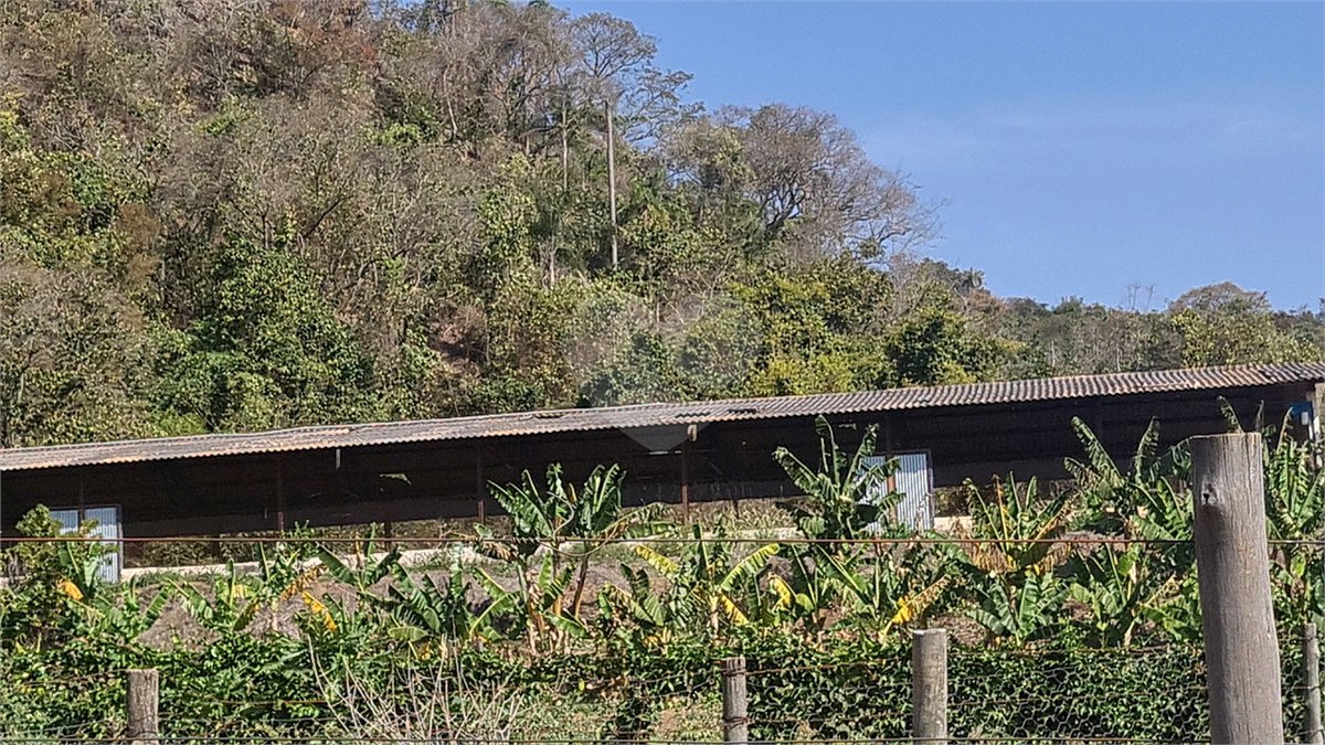 VENDA SÍTIO 48 hectares com estruura para granja, hidroponia e gado