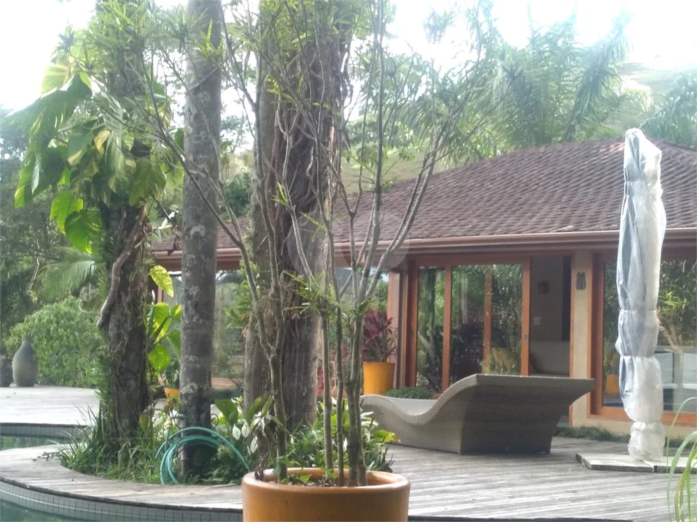 Sítio dos Sonhos em São Francisco Xavier – 10 Alqueires de Pura Natureza!